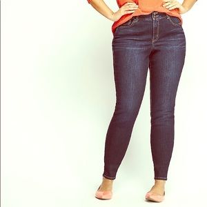 Lane Bryant High Rise Skinny Jeans (Dark Wash)